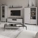 Тумба KOM1D2S Карина Гербор пепельный / антрацит фото 2